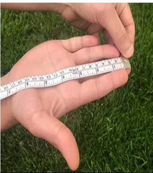 gloves length